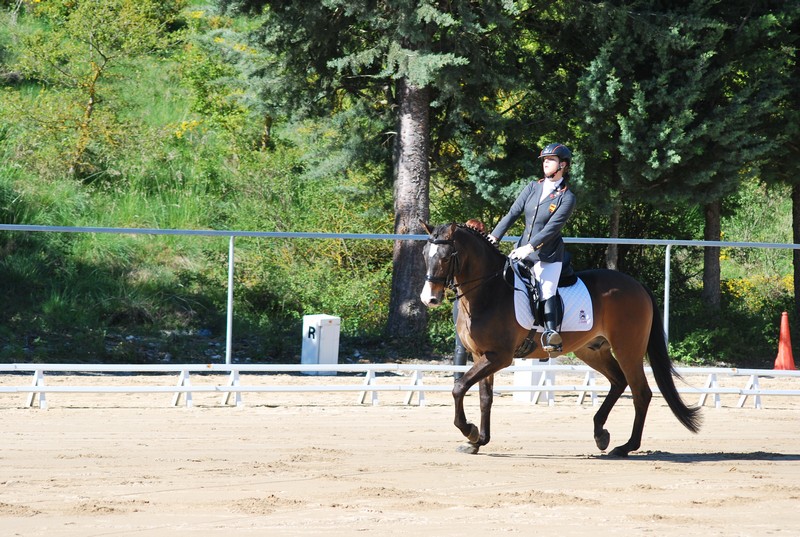 Gran ambiente en Labiano donde se disput&oacute; la IV Fase de la Liga Navarra de Doma Cl&aacute;sica y Paraecuestre